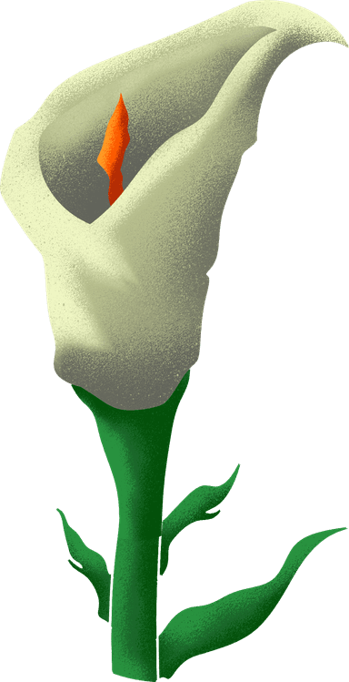 Bunga Ornamen